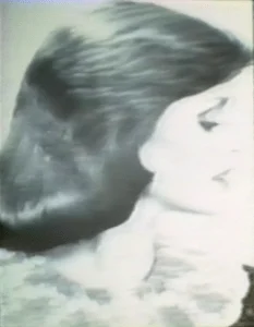 imgi 102 screen shot 2017 10 25 at 10.51.18 am 233x300