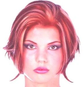 imgi 168 picture8 290x300