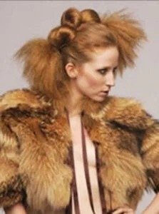 imgi 27 2000 61 223x300