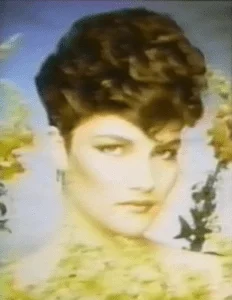 imgi 64 screen shot 2017 10 27 at 3.16.28 pm 232x300