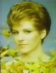 imgi 65 screen shot 2017 10 27 at 3.16.21 pm 232x300