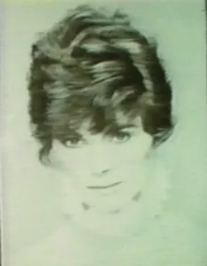 imgi 79 screen shot 2017 10 25 at 10.55.28 am 234x300