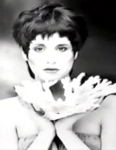 imgi 88 screen shot 2017 10 25 at 10.53.27 am 233x300