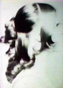 1968 12