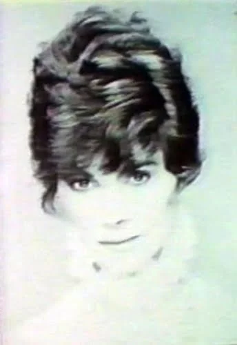 1981 52